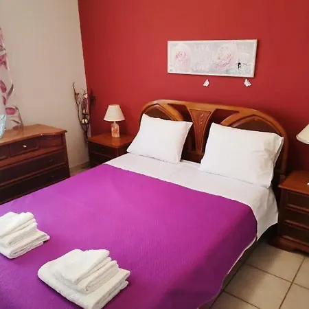 公寓 Alex' S 特里卡拉